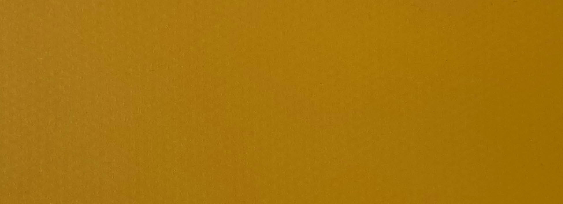 Yellow SunFlower